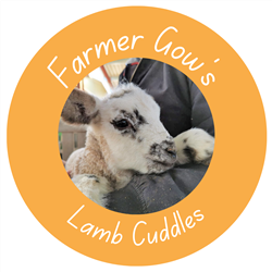 Lamb Cuddles - until Sunday 24 March